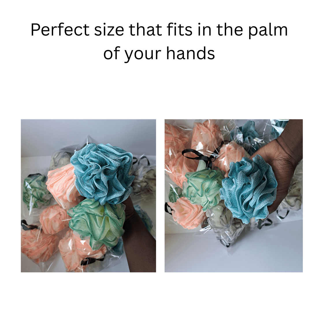 Mesh Bath Sponge in assorted colours